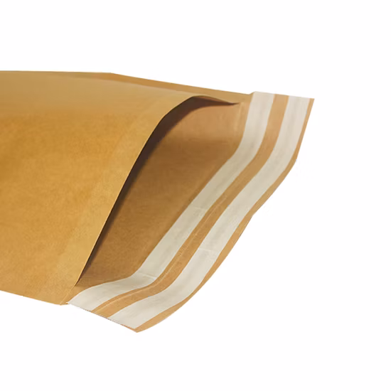 Busta per buste di carta Kraft all'ingrosso Shopping Gift Mailing Bags Abbigliamento Scarpe Borsa per il trasporto in carta pubblicata