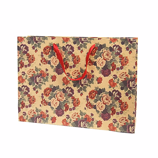 Prezzo basso Abbigliamento Gioielli Cosmetici Regalo Shopping Sacchetti di carta con manici a mano